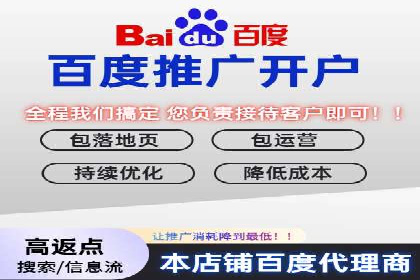 竞价广告案例分享：XX电商平台的成功秘诀
